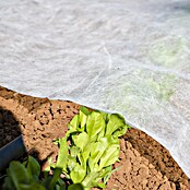 BR Garden Prezimitvena koprena  (10 x 1,6 m, 30 g/m²) | 7481 - Folien / Netze / Winterschutz | IAGG - Gartenartikel | IAG - Außenbereichsausstattung | IA - Gartenhartware | I - Stadtgarten | BAUHAUS