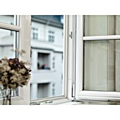 tesa MOLL Silikondichtung Premium Flexible (Transparent, 6 m x 9 mm x 7 mm, Geeignet für: Spaltenbreiten 1 - 7 mm)