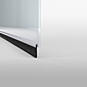 tesa MOLL Türdichtschiene Standard (Weiß, 1 m x 37 mm, Geeignet für: Spaltenbreiten bis 12 mm)