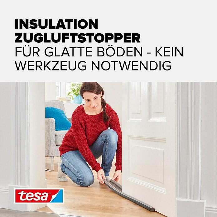 tesa MOLL Türbodendichtung (Grau, 0,95 m x 25 mm, Geeignet für: Glatte Böden)