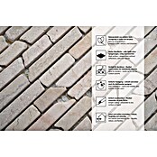 Mosaikfliese Biancone MOS BRICK 105 (30,5 x 30,5 cm, Beige, Matt)