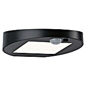 Paulmann Ryse Solar-wandledlamp voor buiten (Bewegingsmelder, 1,2 W, Materiaal: Kunststof, Warm wit, Antraciet)