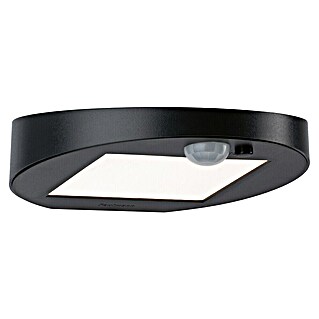 Paulmann Ryse Solar-wandlamp voor buiten (1,2 W, l x b x h: 14,7 x 15,4 x 4,1 cm, Antraciet, IP44)