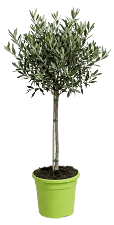 hanging planter outdoors Hanging Planter for Plants With Attached Drip Tray, Indoor Outdoor Pot Unique Gift, Patio Decor, Cottagecore Decor, Entryway, Crest Marble / 7 inch +