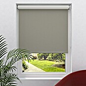 Expo Ambiente Zatemnitveni rolo  (Š x V: 120 x 275 cm, Univerzalen) | 6443 - Textil-Rollos | HDDA - Fenster-Sonnenschutz | HDD - Sonnenschutz | HD - Ambiente | H - Innendeko/Farben | BAUHAUS