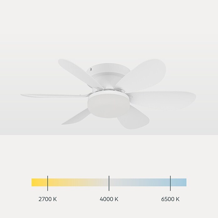 Eglo Deckenventilator Clovelly (Weiß, 52 cm, 12 W, Warmweiß) | BAUHAUS