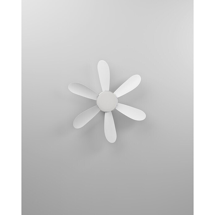 Eglo Deckenventilator Clovelly (Weiß, 52 cm, 12 W, Warmweiß) | BAUHAUS