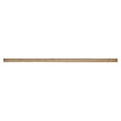 CanDo Wandpaneel Decowall Felt Pattern (Shell Zand, 260 x 60 cm, Kunststof) | BAUHAUS