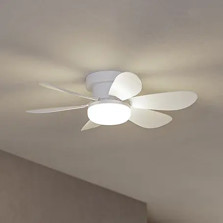 Eglo  Deckenventilator Clovelly