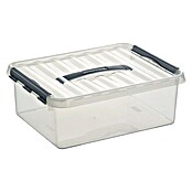 Sunware Aufbewahrungsbox (L x B x H: 40 x 30 x 14 cm, Kunststoff, Transparent, Farbe Griff: Schwarz)