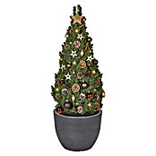 Geli Pflanztopf Rimini (Außendurchmesser: 40 cm, Höhe: 31 cm, Kunststoff, Anthrazit)