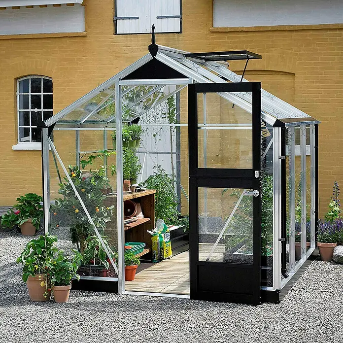 Juliana Gewächshaus Compact - Außenmaß inkl. Dachüberstand (B x T): 224 x 224 cm, Material Seitenwand: Glas, 3 mm, Silber/Schwarz - Gewächshaus mit geöffneter Tür, bepflanzt mit verschiedenen Pflanzen. Das Gewächshaus steht vor einer gelben Backsteinmauer.