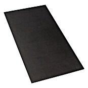 Siebdruckplatte Fixmaß (Birke, 1.200 x 600 x 12 mm)