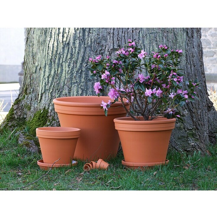 Pflanztopf - Max. Auendurchmesser: 13 cm, Hhe: 11,5 cm, Naturmaterialien,  Terracotta online kaufen bei BAUHAUS