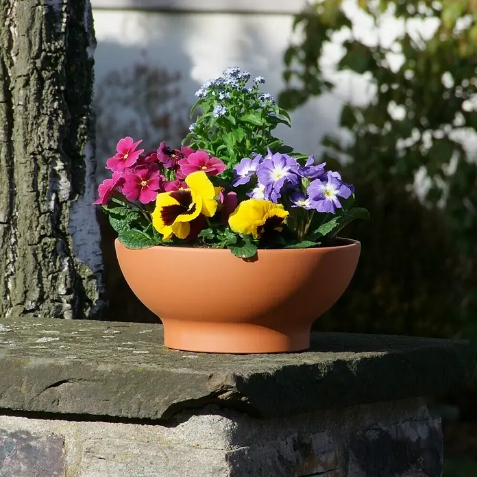 Pflanzschale rund Wave - Außenmaß (Ø x H): 38 x 15 cm, Naturmaterialien, Terracottarot - Blumenarrangement in einem terrakottafarbenen Topf mit bunten Frühlingsblumen, die eine einladende Atmosphäre schaffen.
