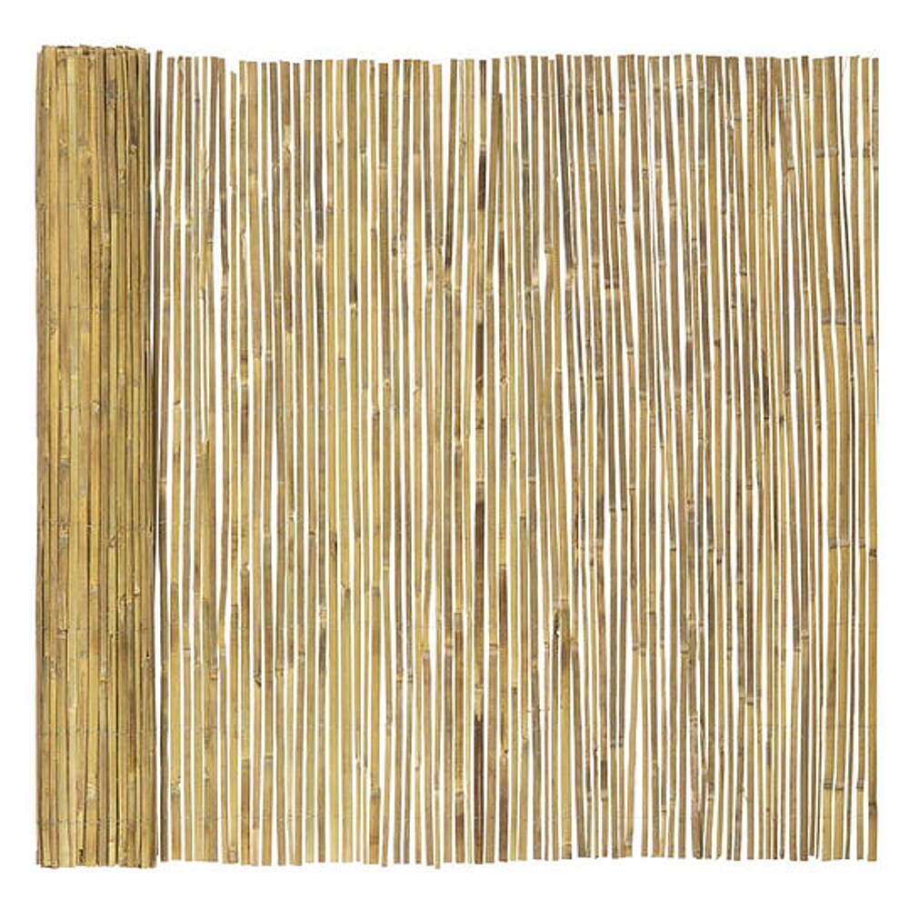 Floordirekt Sichtschutzelement Bambus Brasil online kaufen bei BAUHAUS
