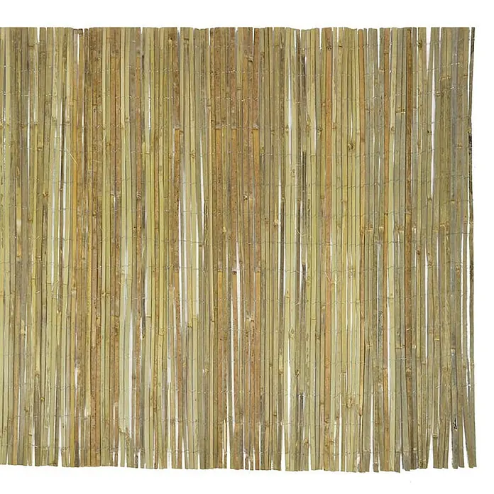 Floordirekt Sichtschutzelement Bambus Brasil online kaufen bei BAUHAUS