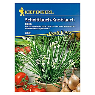Kiepenkerl Profi-Line Kräutersamen Schnittknoblauch Neko (Allium tuberosum, Saatzeit: April, Erntezeit: Ganzjährig)