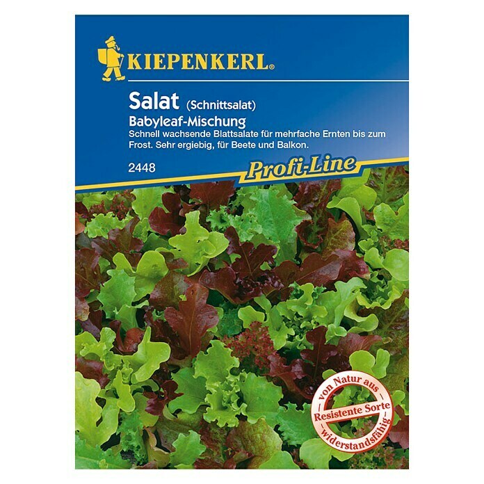 Kiepenkerl Profi-Line Blattsalat Babyleaf-Mischung (Lactuca sativa, Inhalt ausreichend für ca.: 3 m)