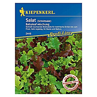 Kiepenkerl Profi-Line Salatsamen Blattsalat Babyleaf-Mischung (Lactuca sativa, Erntezeit: April)