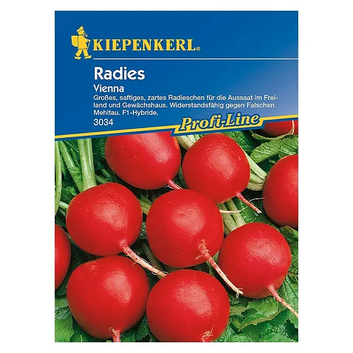 Kiepenkerl Profi-Line Gemüsesamen Radieschen Vienna - Raphanus sativus var. sativus, Erntezeit: April - Samenpackung für "Radieschen Vienna", eine widerstandsfähige F1-Hybride, ideal für Freiland und Gewächshaus.