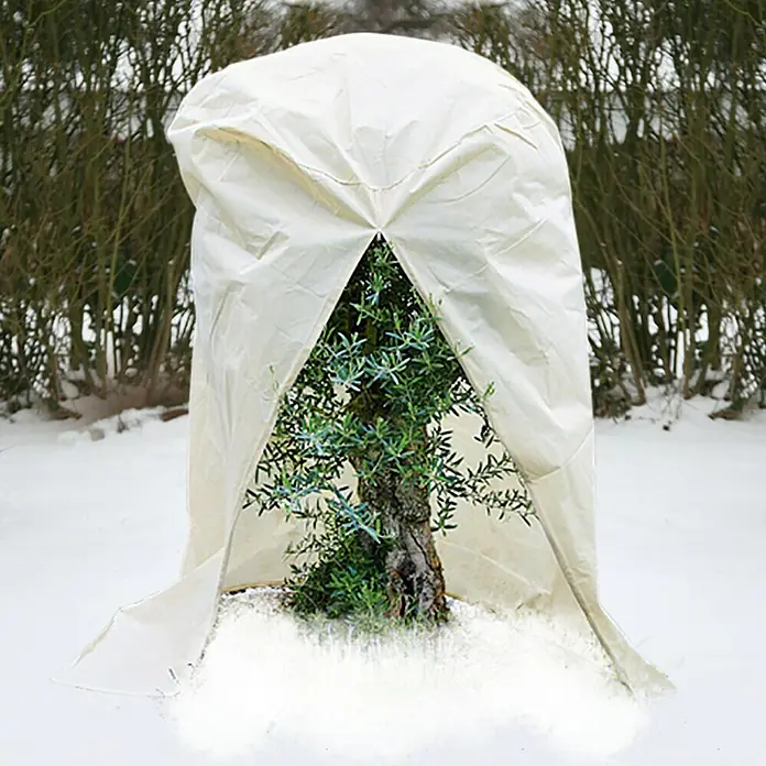 Winterschutzhaube - Ø x H: 1,25 x 2,4 m, Grammatur: 70 g/m² - Die Winter-Pflanzenschutzhaube schützt einen jungen Baum vor Schnee und Frost im Winter und sorgt für gesundes Wachstum.