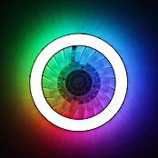 Brilliant Plafondventilator Fanora met LED verlichting (Wit, 46 cm) | BAUHAUS