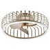 Brilliant Plafondventilator CAPO met LED verlichting 