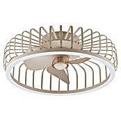 Brilliant Plafondventilator CAPO met LED verlichting (Beige, 48 cm) | BAUHAUS