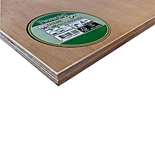 Multiplexplaat Powerplex Bio (Eucalyptus, 244 x 122 cm, Dikte: 18 mm)