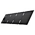 EcoFlow Solarni modul 60 W, USB-C 