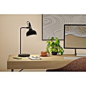 Paulmann Tischleuchte juna (230 V, L x B x H: 25,5 x 18 x 51 cm, E14) | BAUHAUS