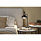 Paulmann Tischleuchte juna (230 V, L x B x H: 25,5 x 18 x 51 cm, E14) | BAUHAUS