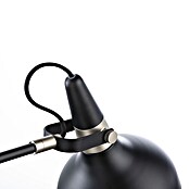 Paulmann Tischleuchte juna (230 V, L x B x H: 25,5 x 18 x 51 cm, E14) | BAUHAUS