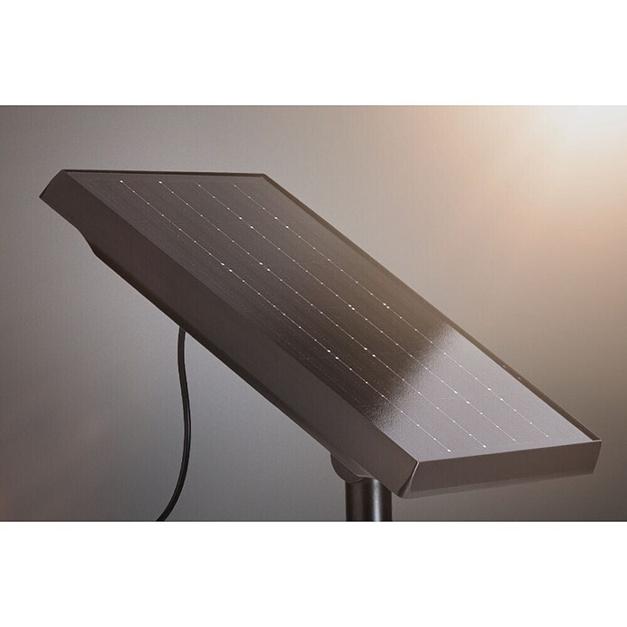 Paulmann LED-Lichterkette Taina (Außen, Lichtfarbe: Warmweiß, Anzahl Leuchtmittel: 6 Stk., Solarbetrieben, Länge: 5,8 m) | BAUHAUS