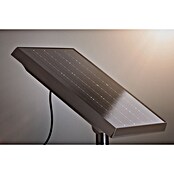 Paulmann LED-Lichterkette Taina (Außen, Lichtfarbe: Warmweiß, Anzahl Leuchtmittel: 6 Stk., Solarbetrieben, Länge: 5,8 m) | BAUHAUS