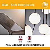 Paulmann Erweiterungs-Set Lichterkette Taina (Schwarz, Länge: 1,71 m, Anzahl Leuchtmittel: 3 Stk., Warmweiß) | BAUHAUS