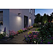 Paulmann LED-Strahler Flotas (3 000 K, L x B x H: 36,1 x 19,5 x 19,4 cm, IP65, Smarte Steuerung) | BAUHAUS