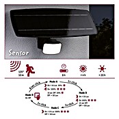 Paulmann Solar-LED-Strahler Flotas (Farbtemperatur: 3 000 K, L x B x H: 36,1 x 19,5 x 19,4 cm, Ausführungseigenschaft: Ohne Smarte Steuerung) | BAUHAUS
