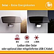Paulmann LED-Strahler Flotas (3 000 K, L x B x H: 36,1 x 19,5 x 19,4 cm, IP65, Smarte Steuerung) | BAUHAUS
