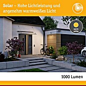 Paulmann LED-Strahler Flotas (3 000 K, L x B x H: 36,1 x 19,5 x 19,4 cm, IP65, Smarte Steuerung) | BAUHAUS