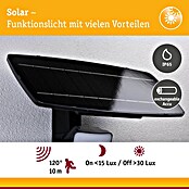 Paulmann Solar-LED-Strahler Flotas (Farbtemperatur: 3 000 K, L x B x H: 36,1 x 19,5 x 19,4 cm, Ausführungseigenschaft: Ohne Smarte Steuerung) | BAUHAUS