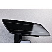 Paulmann LED-Strahler Flotas (3 000 K, L x B x H: 36,1 x 19,5 x 19,4 cm, IP65, Smarte Steuerung) | BAUHAUS