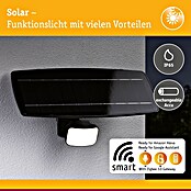 Paulmann LED-Strahler Flotas (3 000 K, L x B x H: 36,1 x 19,5 x 19,4 cm, IP65, Smarte Steuerung) | BAUHAUS
