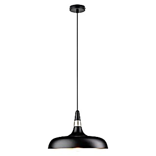 Paulmann Pendelleuchte Juna (Schwarz, E27, 230 V, B x H: 34,2 x 110 cm)