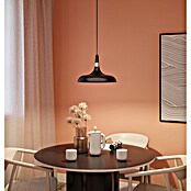 Paulmann Pendelleuchte Juna (Schwarz, E27, 230 V, B x H: 34,2 x 110 cm) | BAUHAUS