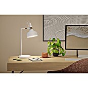 Paulmann Tischleuchte juna (230 V, L x B x H: 25,5 x 18 x 51 cm, E14) | BAUHAUS