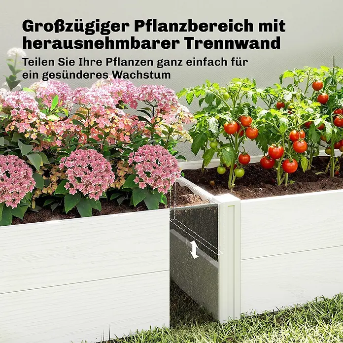 Outsunny Hochbeet - Kunststoff, Weiß - Weißes Hochbeet mit herausnehmbarer Trennwand, um Pflanzen für gesünderes Wachstum zu teilen.