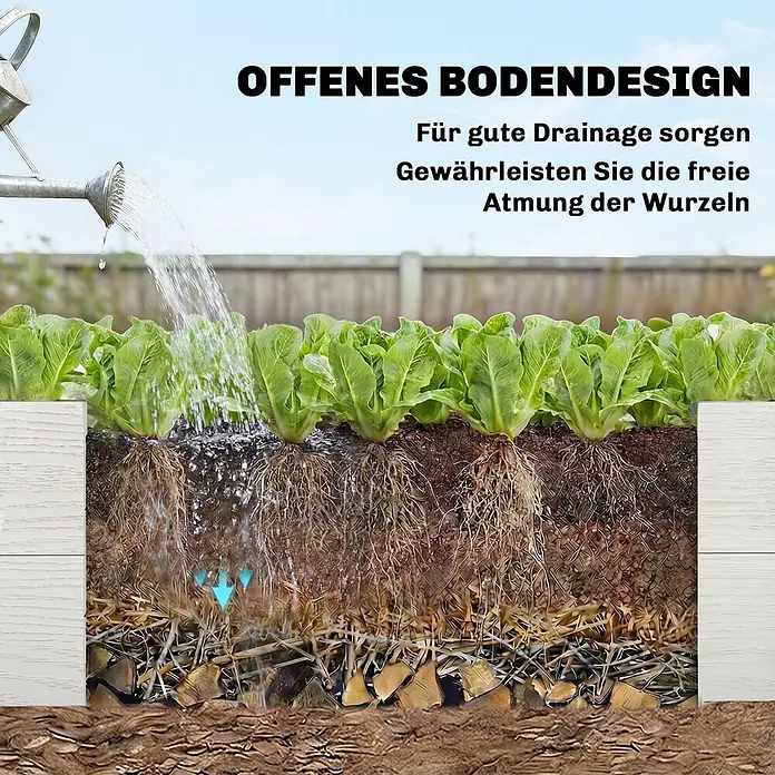Outsunny Hochbeet - Kunststoff, Weiß - Querschnitt eines Hochbeets mit Salat, das gute Entwässerung durch Erde, Mulch und Holzspäne für optimale Wurzelbelüftung demonstriert.