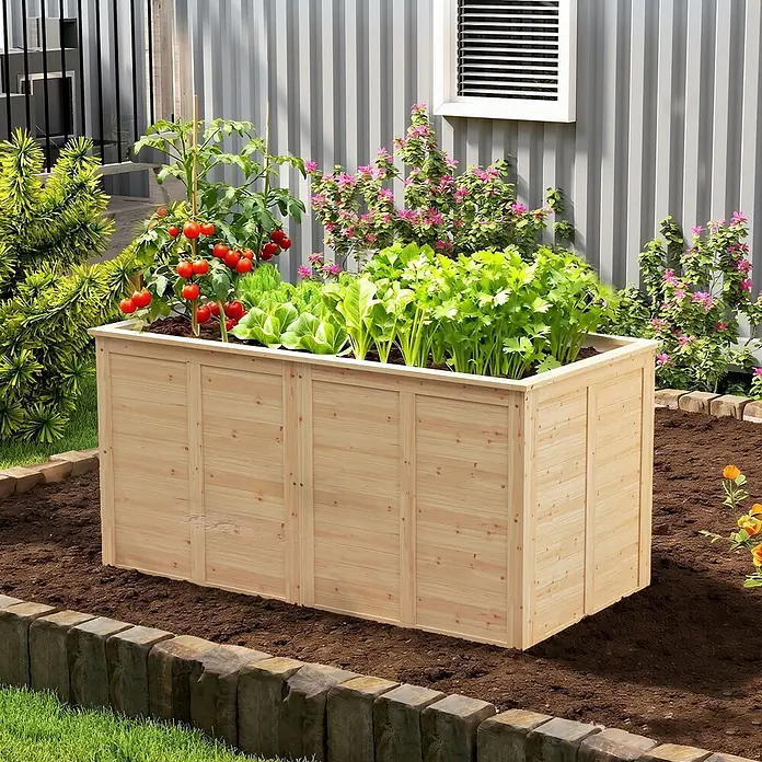 Outsunny Hochbeet - 152 x 77 x 77 cm, Holz, Naturholz - Helles Holz-Hochbeet, gefüllt mit gedeihenden Tomaten, Salat und Sellerie in einem sonnigen Garten.